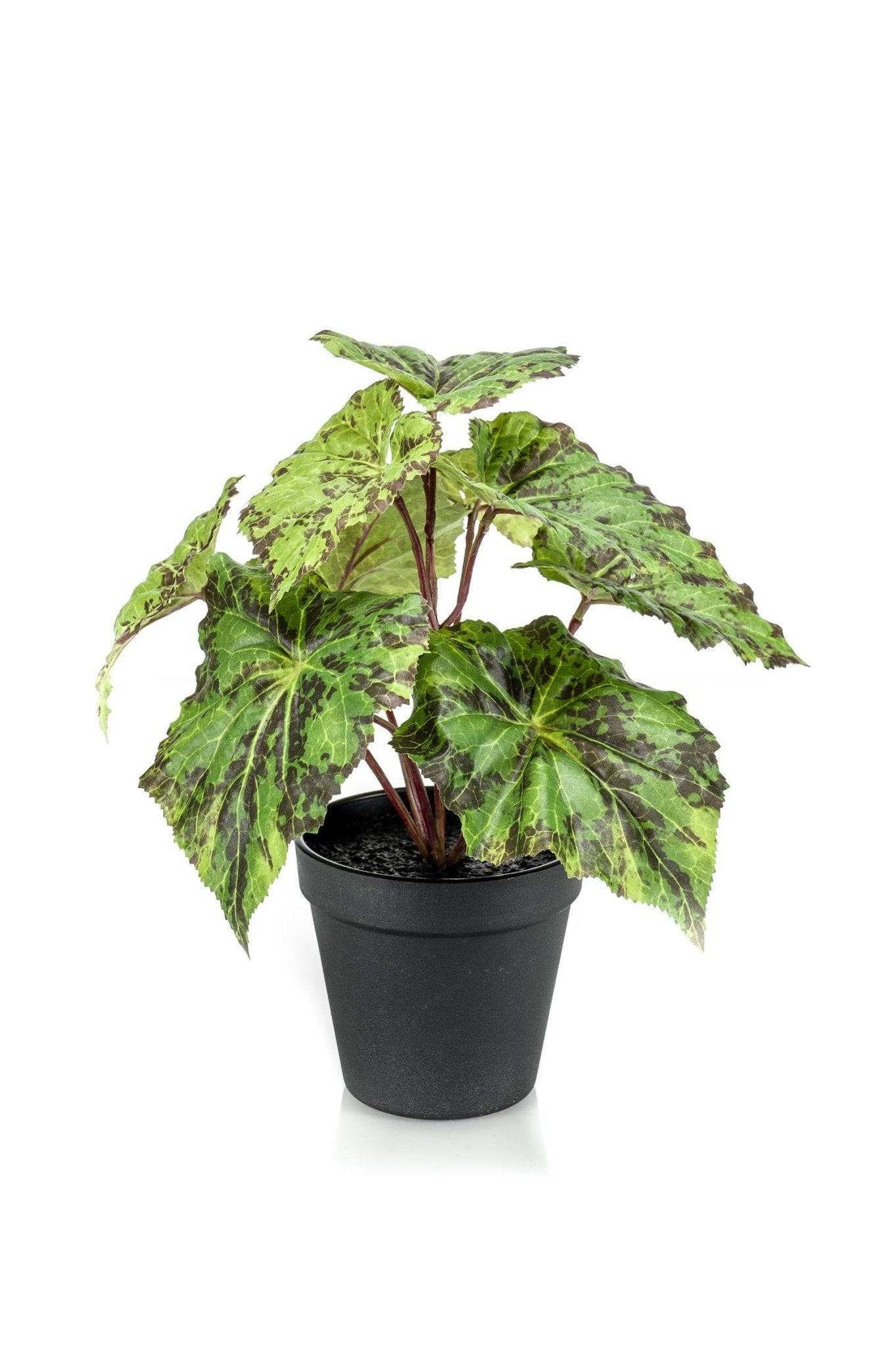 La Green Touch - Begonia Rex plante artificielle - h25cm, Ø11cm- La Green Touch - Imagen 6