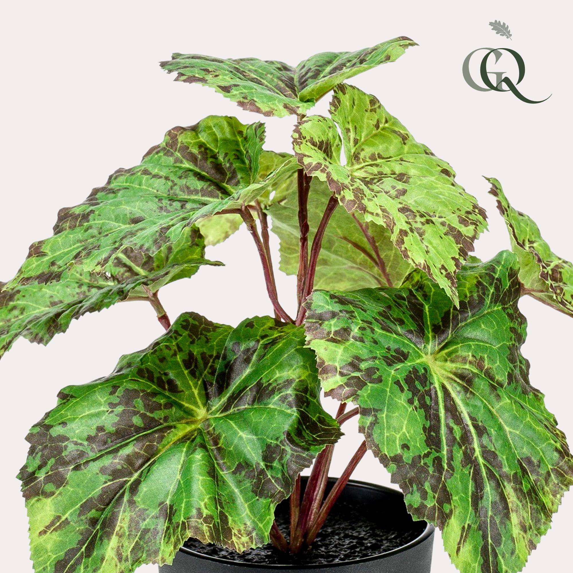 La Green Touch - Begonia Rex plante artificielle - h25cm, Ø11cm- La Green Touch - Imagen 2