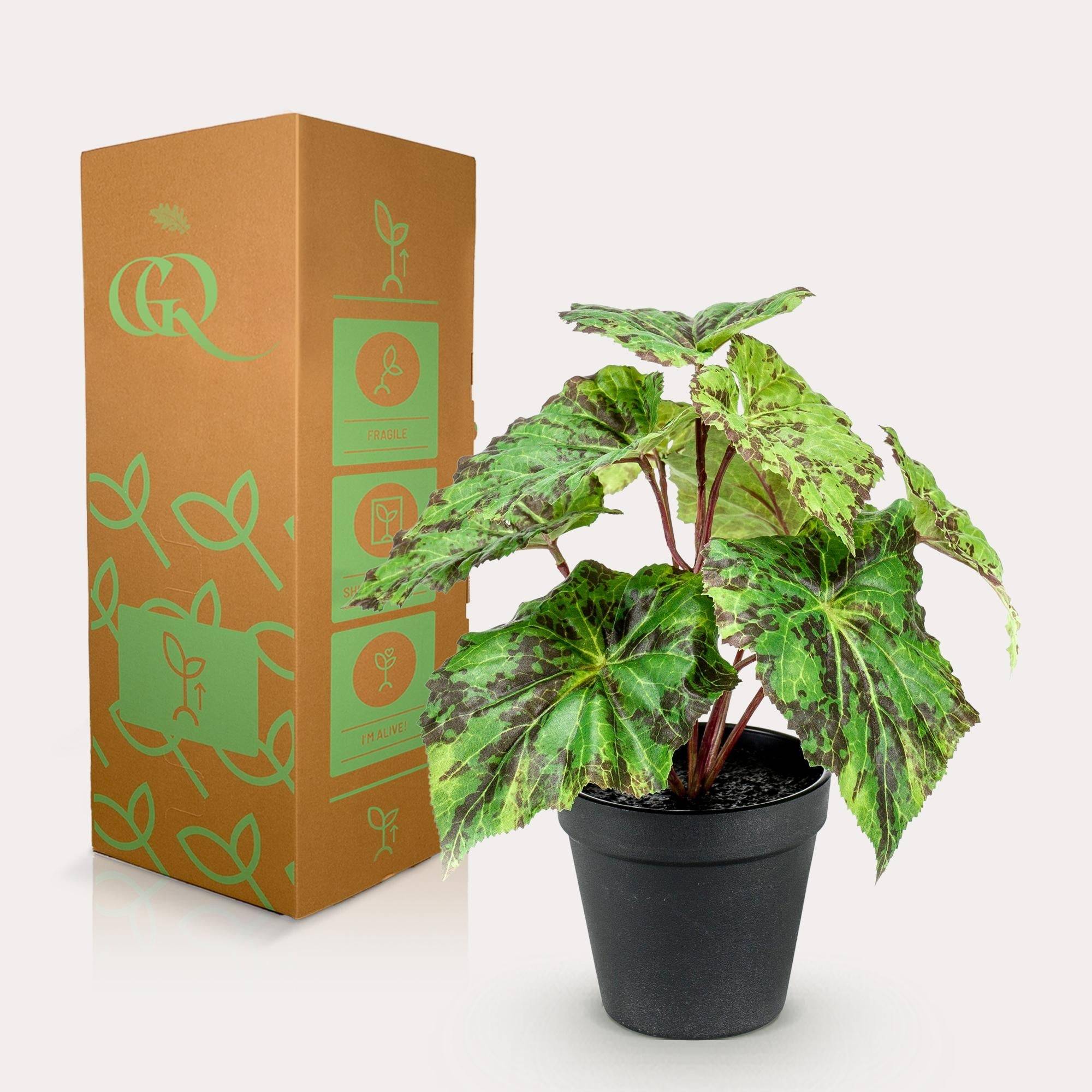 La Green Touch - Begonia Rex plante artificielle - h25cm, Ø11cm- La Green Touch - Imagen 3