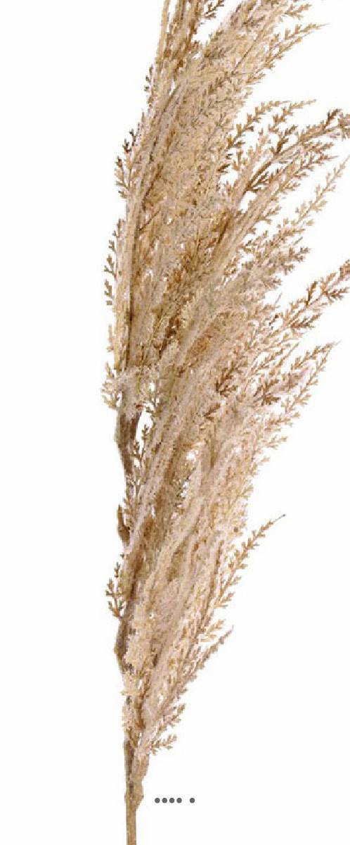 Artificielles - Magnifique fausse herbe de pampa grande tige 100 cm Crème - couleur: Crème - Imagen 3