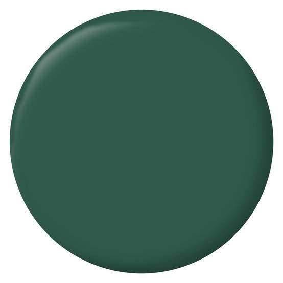 Ripolin - Testeur peinture intérieur mur/boiserie/radiateur satiné, RIPOLIN, vert cardo, 75 ml - Image 2