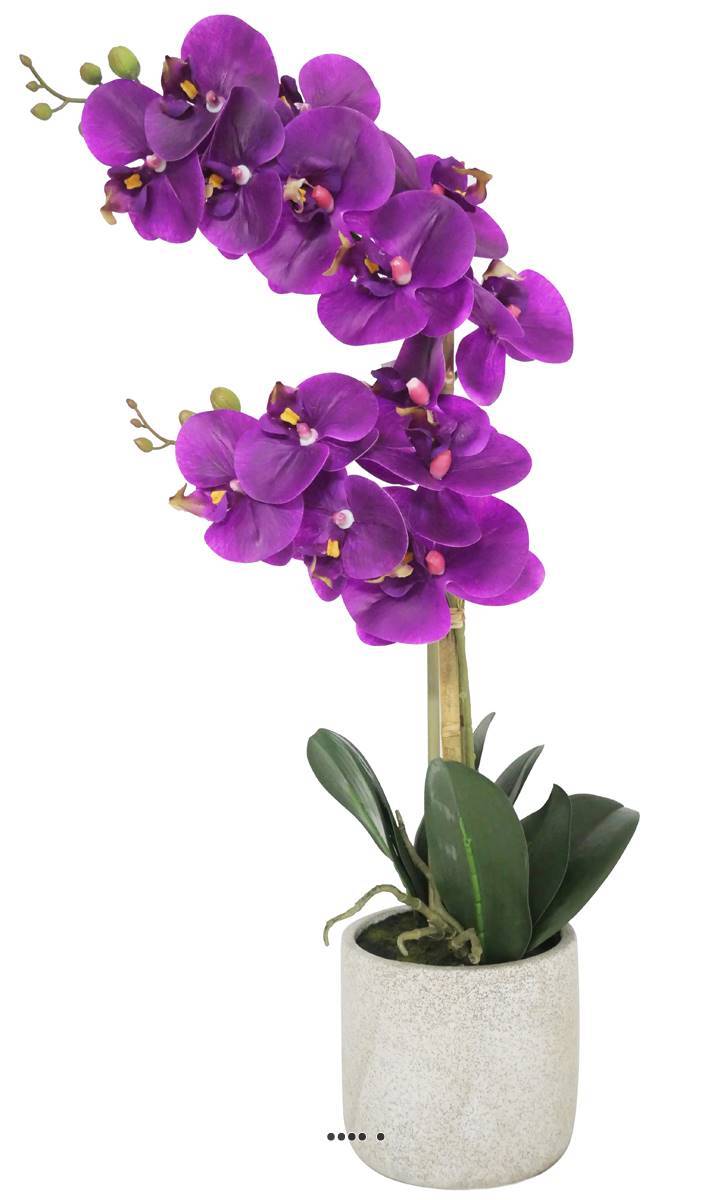 Artificielles - Orchidée phalaenopsis faux 2hampes 14fleurons +pot H60cm D20cm Pourpre - couleur: Pourpre - Imagen 1