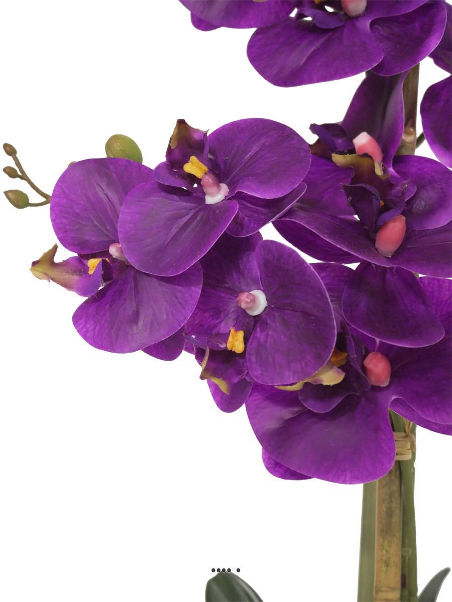Artificielles - Orchidée phalaenopsis faux 2hampes 14fleurons +pot H60cm D20cm Pourpre - couleur: Pourpre - Imagen 2