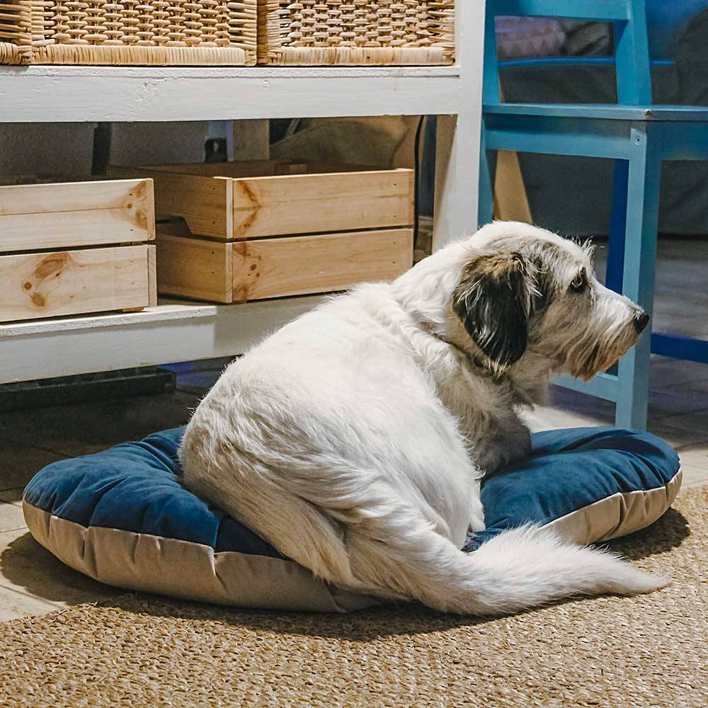 Ferplast - Ferplast coussin pour chiens et chats PRINCE 65/6, petit lit rembourré pour animaux, double-face, 65x42 cm, bleu - Imagen 6