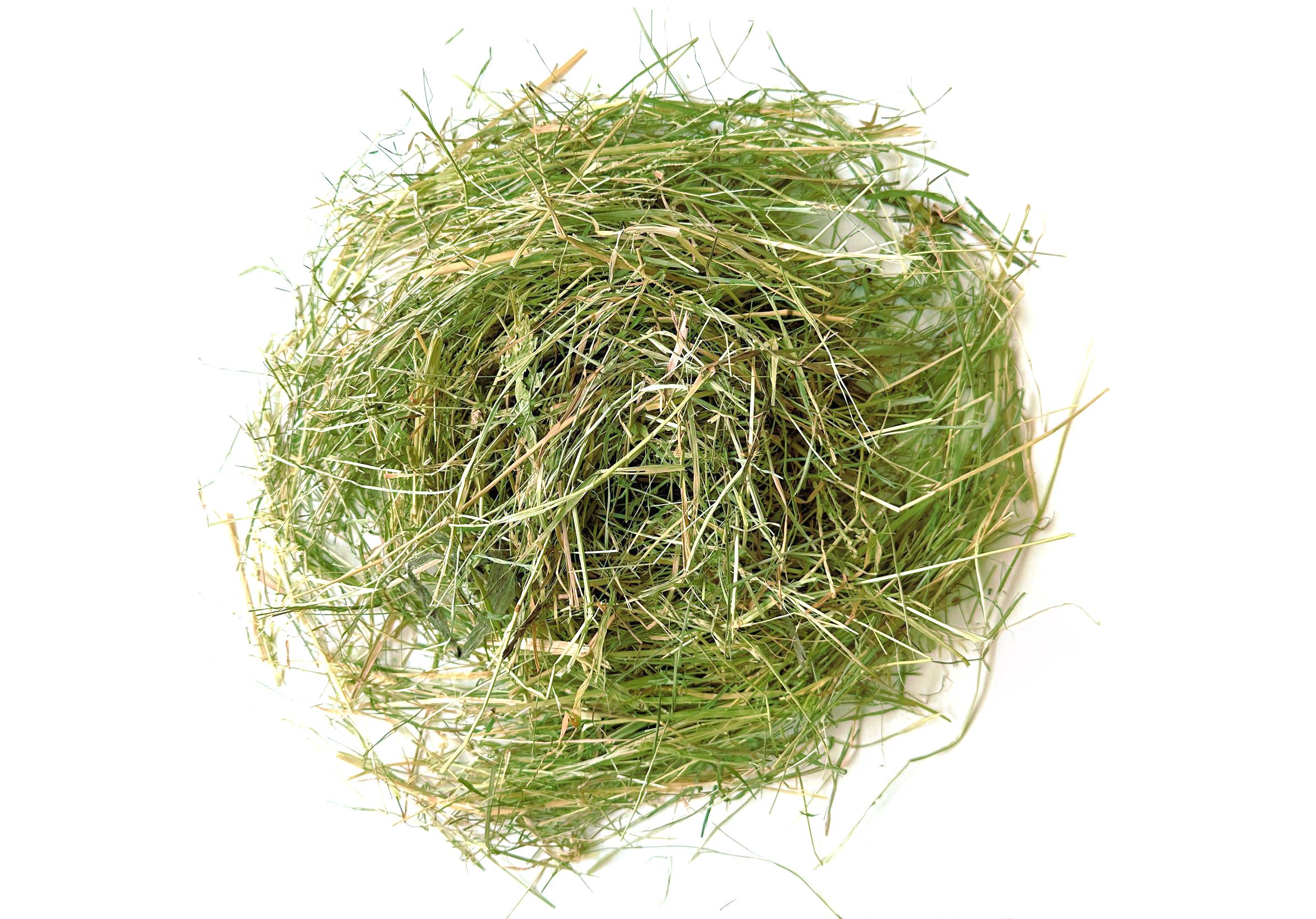 Mix foin pour lapins et rongeurs