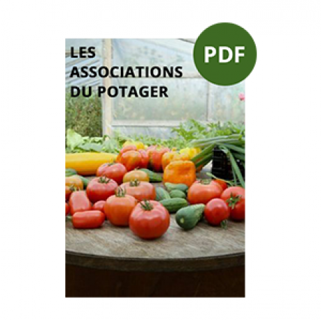 Livre "Organiser son potager" - Image 2