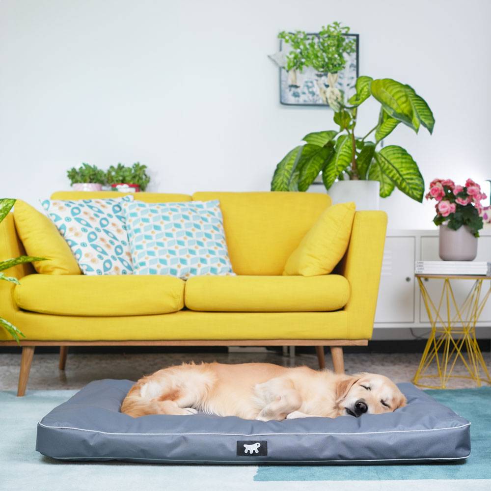 Ferplast - FERPLAST Panier Chien Chat - Coussin Orthopédique Chien - Lavable en Machine - Tapis Chien - Lit Chat Chien - Imperméable & Anti-Rayures - Rembourrage - Imagen 3