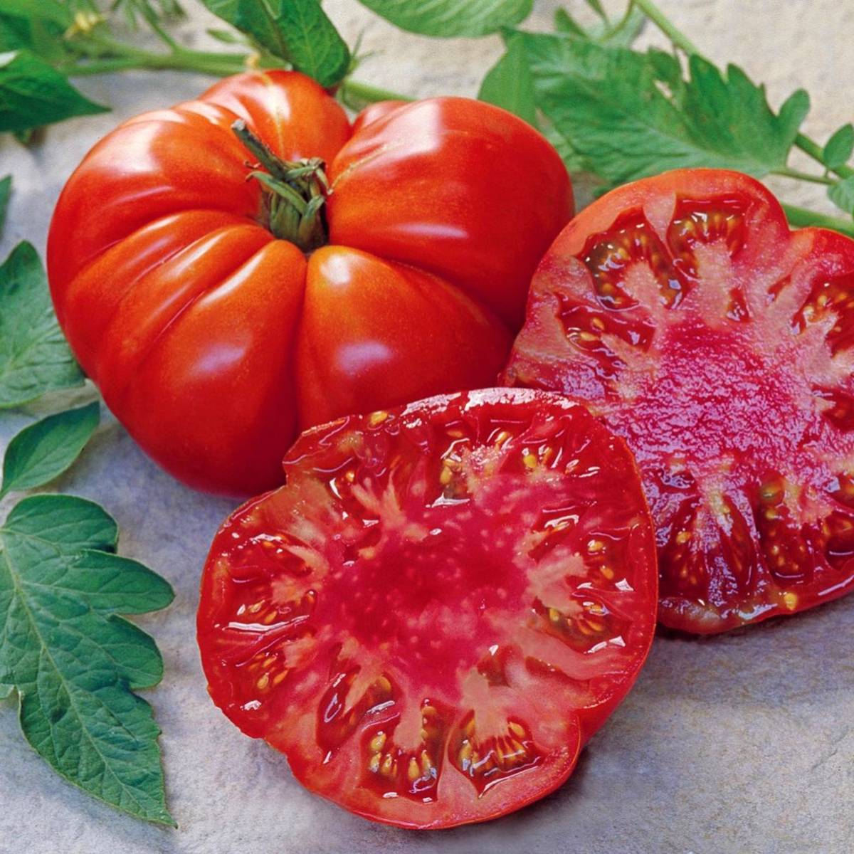 Tomate Tomande F1 - Type Marmande - Graines le sachet de 12 graines environ