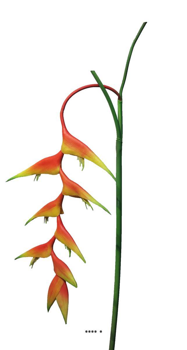 Artificielles - Branche d&rsquo;Heliconia des Caraibes artificiel, L 96 cm - BEST - Imagen 2