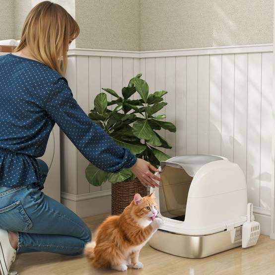 Maison de toilette chat acier inoxydable anti-odeur avec couvercle 52x41x42cm blanc - ComfortXL Outdoor Living - Image 1