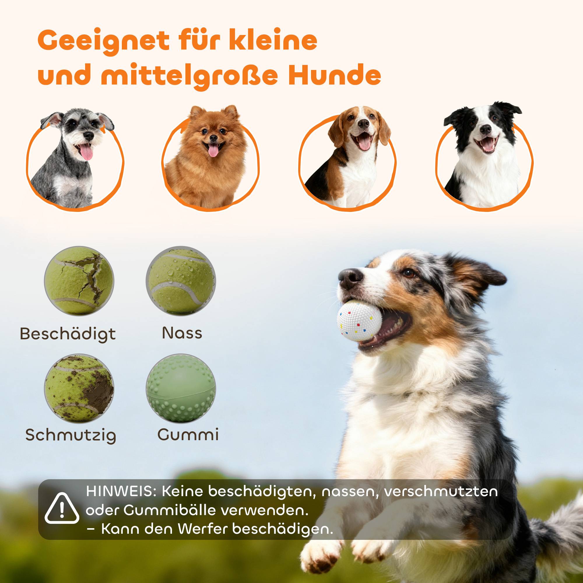 Sans Marque - Lanceur balle automatique 3 balles, 3 distances 6/10/14m, petits chiens, vert - Image 10