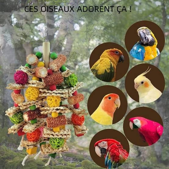 Jouet à mâcher pour perroquet - IntiMeg - Image 3
