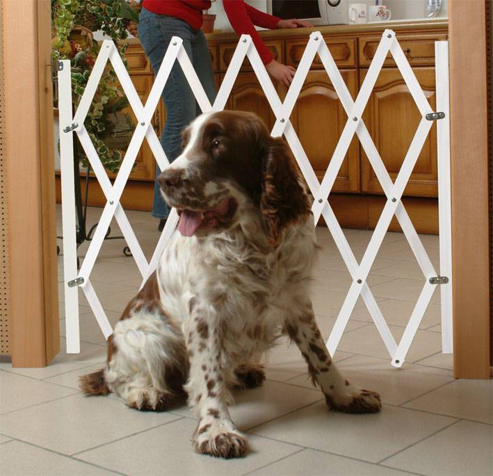 Nordlinger - NORDLINGER PRO Barrière animaux 742001 Stop'Fix - Blanc - Bois extensible - 0,60 à 1,10 m - Pour chien - Imagen 4