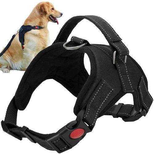 Harnais pour chien sans pression M - Image 1