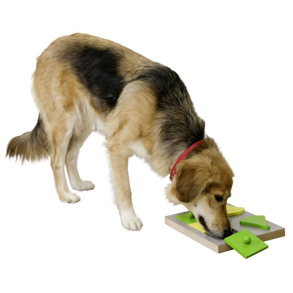kerbl - Jeu de stratégie CAKE cache friandise 30 x 23 x 4.5 cm pour chien - Imagen 5