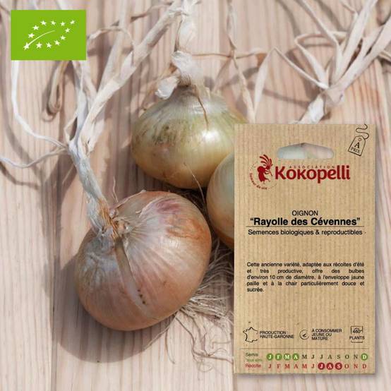 Graines bio à semer - Oignon Rayolle des Cévennes- Association Kokopelli