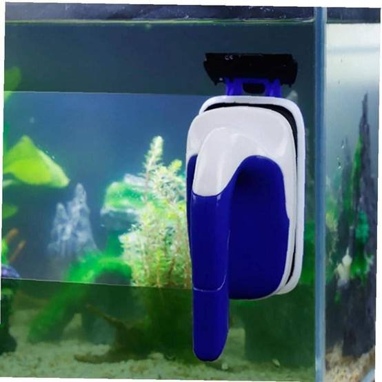 Nettoyeur Magnétique Aquarium - Grattoir à Algues DtopbuyAge - Image 3