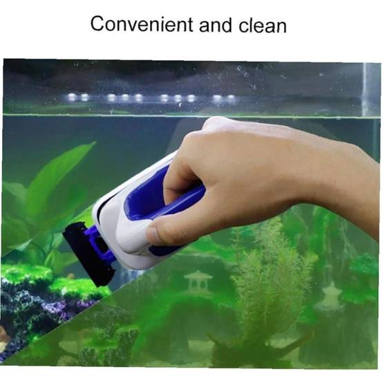 Nettoyeur Magnétique Aquarium - Grattoir à Algues DtopbuyAge - Image 5