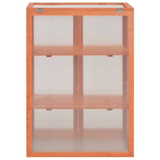 PANGIVO - Serre de jardin bois naturel 75 x 47 x 109 cm - PANGIVO - Image 6