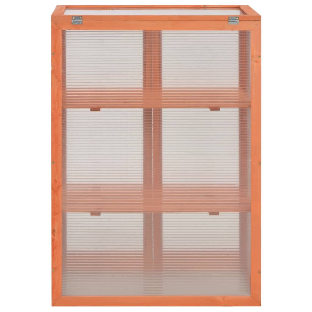 PANGIVO - Serre de jardin bois naturel 75 x 47 x 109 cm - PANGIVO - Image 6