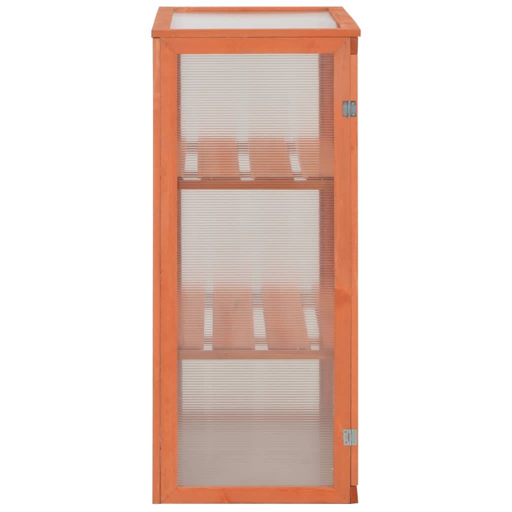 PANGIVO - Serre de jardin bois naturel 75 x 47 x 109 cm - PANGIVO - Image 5