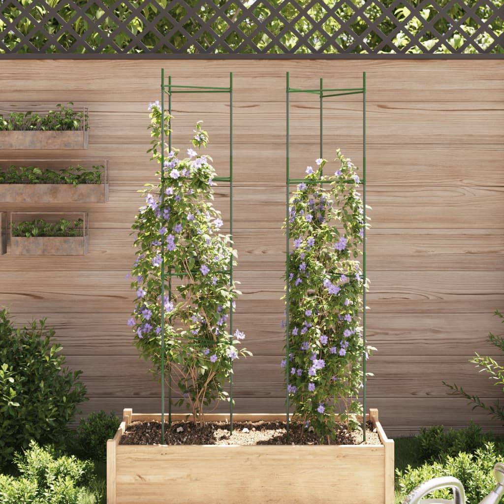 Supports Hauts pour Plantes Grimpantes Acier Tuteurage Vertical pour Jardin Lot de 2 Vert 154 cm – ComfortXL Outdoor Living - Image 3