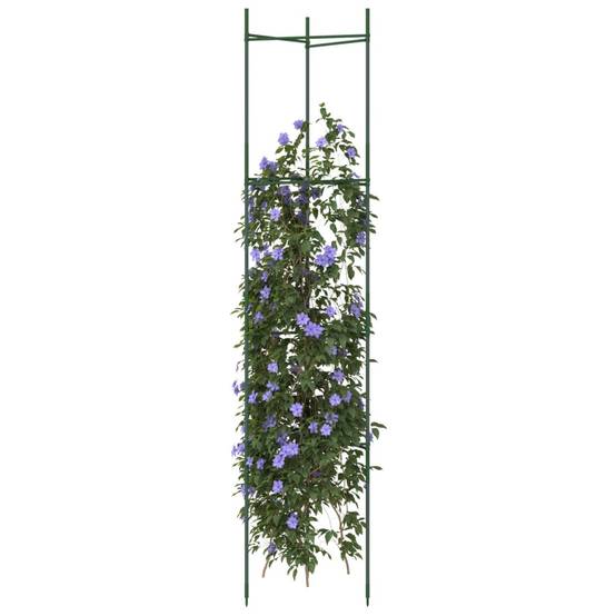 Supports Hauts pour Plantes Grimpantes Acier Tuteurage Vertical pour Jardin Lot de 2 Vert 154 cm – ComfortXL Outdoor Living - Image 1