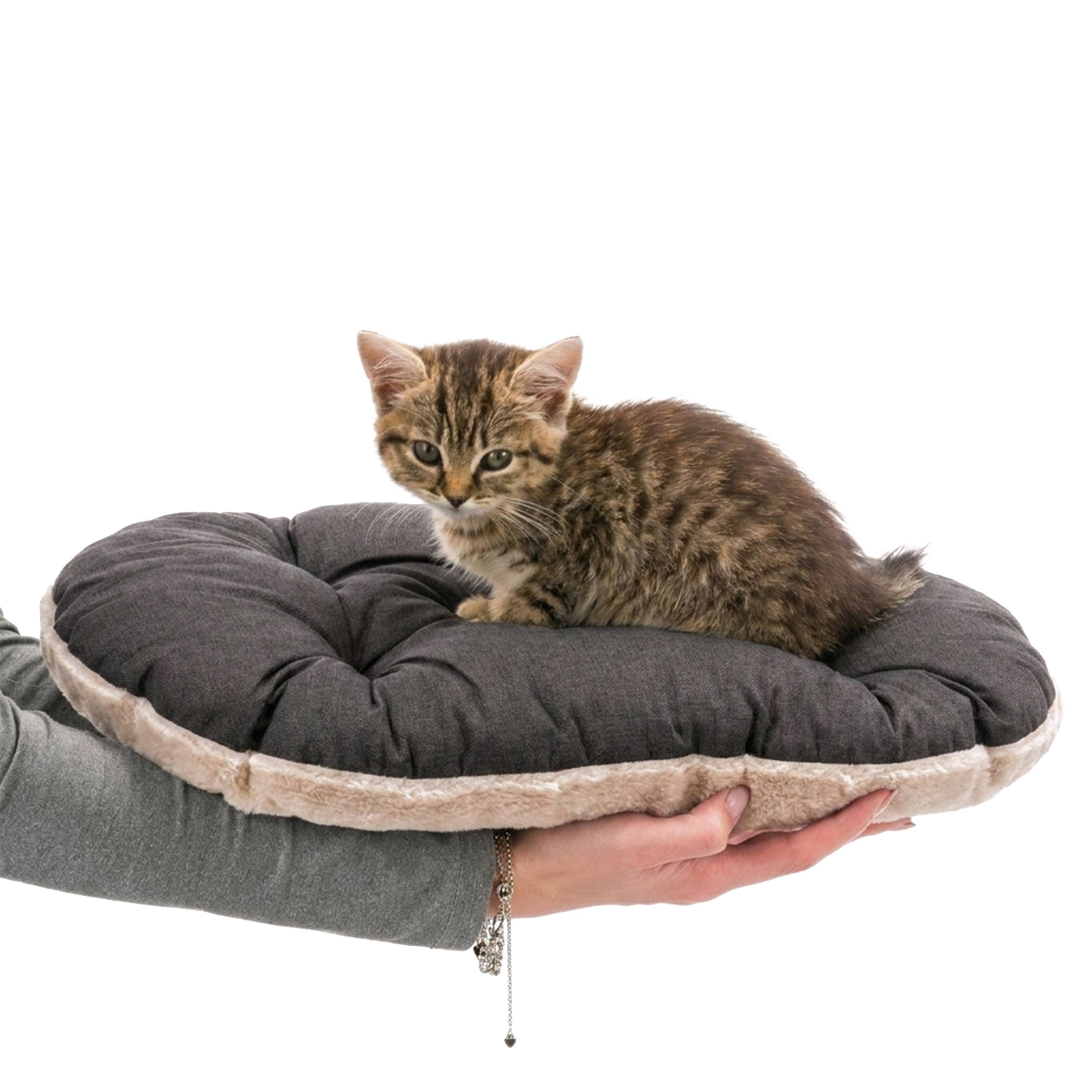 Ferplast - FERPLAST Panier Chien Chat - Coussin pour Chien Chat - Lavable en Machine - Tapis Chien Chat pour Niches et Voitures - Lit pour Chien Chat - Relax, - Imagen 6