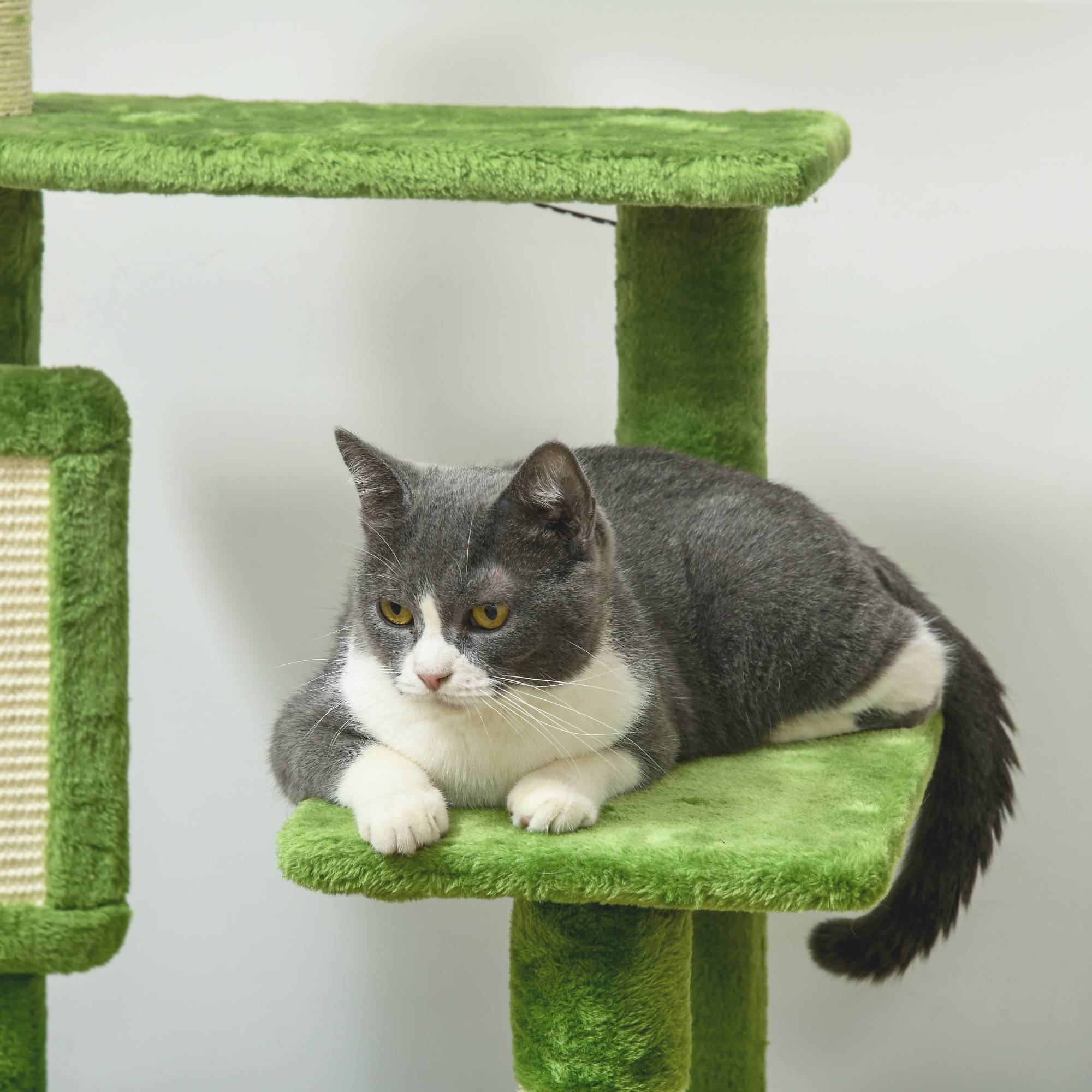 Arbre à chat multiligne avec hamac, grattoir, balle et feuilles décoratives, 49x49x142cm, vert - Image 10