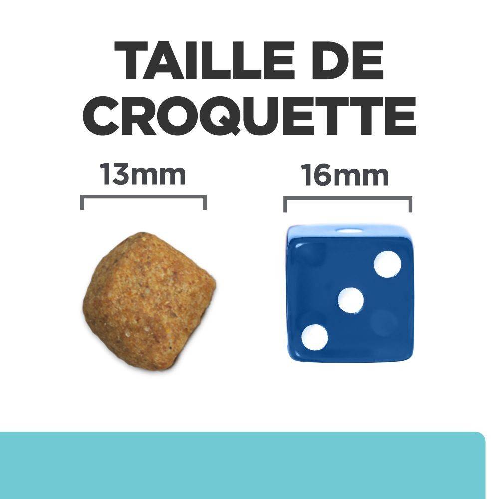 CROQUETTES CHAT ADULT PRESCRIPTION DIETS T/D DENTAL CARE - HILL'S 1,5 kg - Image 5