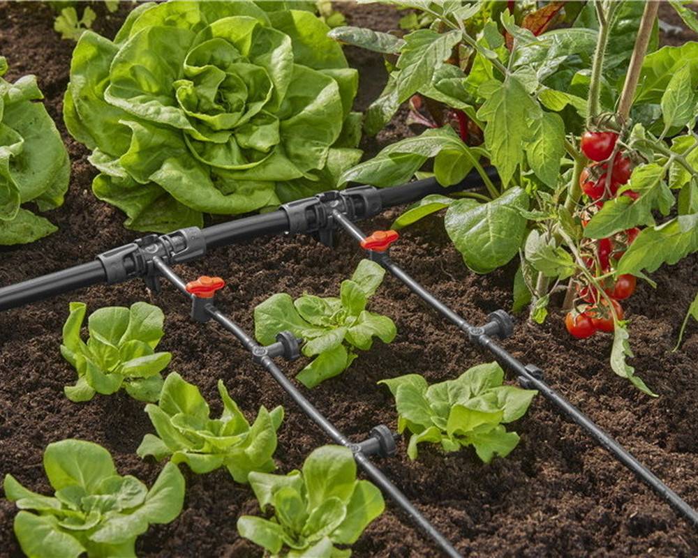 Gardena - Goutteurs en ligne régulateur de pression 2 l/h - Boîte de 10 pièces Gardena - Image 5