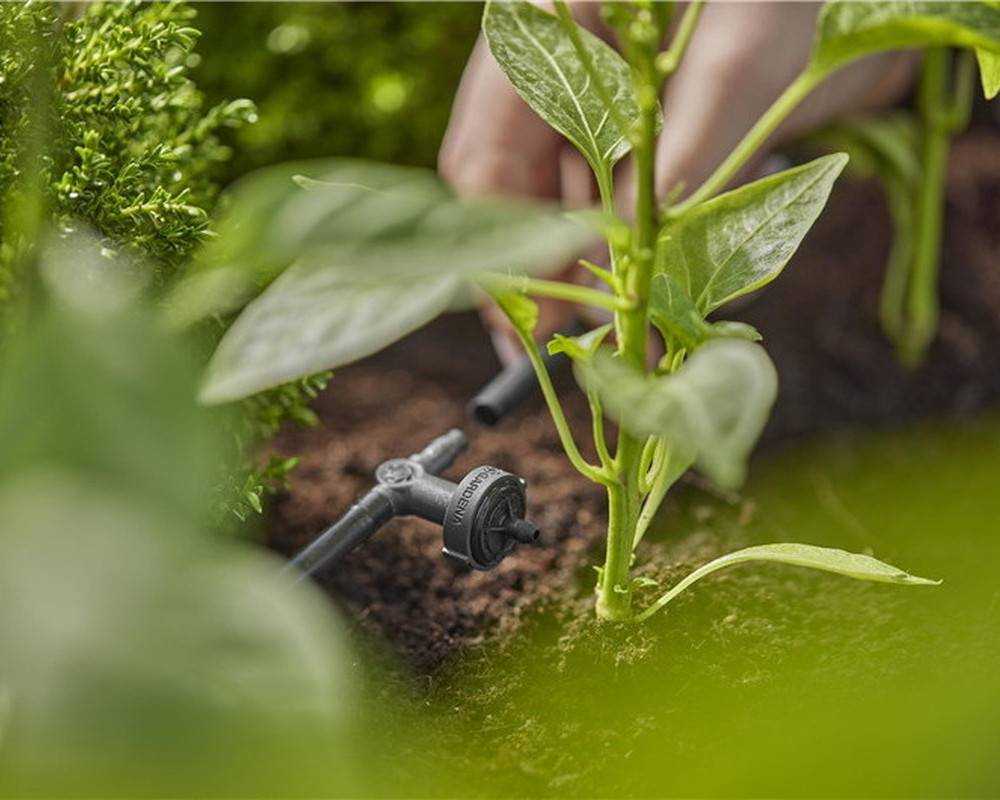 Gardena - Goutteurs en ligne régulateur de pression 2 l/h - Boîte de 10 pièces Gardena - Image 3