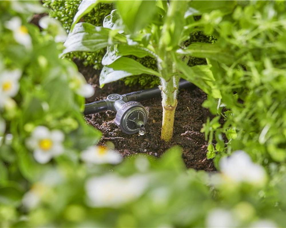 Gardena - Goutteurs en ligne régulateur de pression 2 l/h - Boîte de 10 pièces Gardena - Image 4