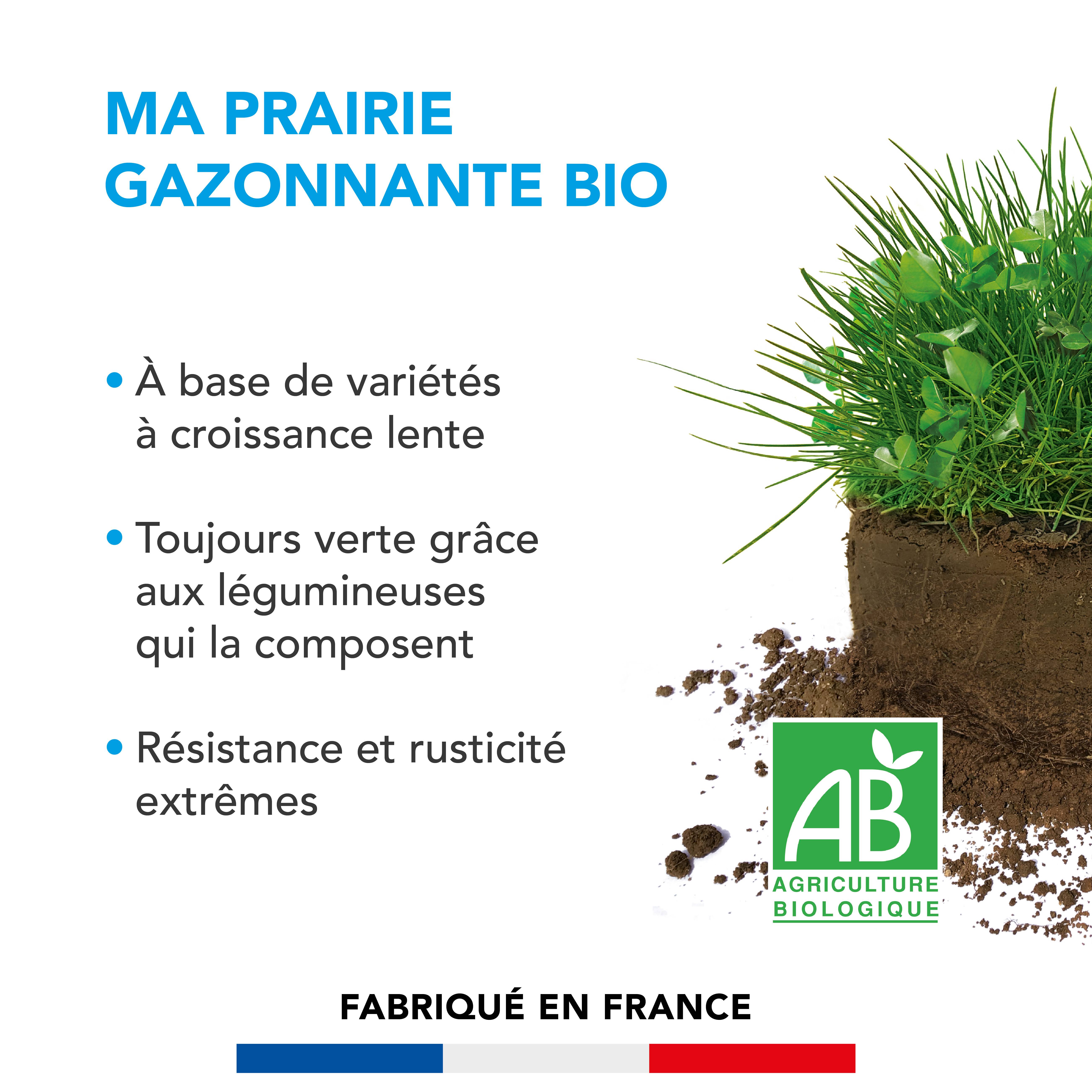 Prairie Gazonnante - Variétés à Croissance Lente - Toujours Verte grâce aux Légumineuses - Résistance et Rusticité Extrêmes - 3KG - BARENBRUG - Image 2