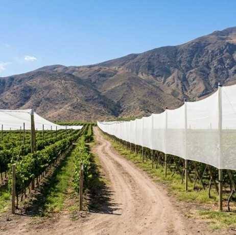 Plastidis - Filet Brise-vent - ombrage Blanc- 106gr/m² - Long 9 m, Larg 4 m - Imagen 2