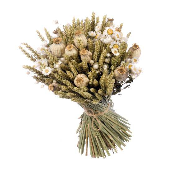 Naturalys - Naturalys - Kit à composer - Bouquet de fleurs séchées - Blanc - Imagen 2