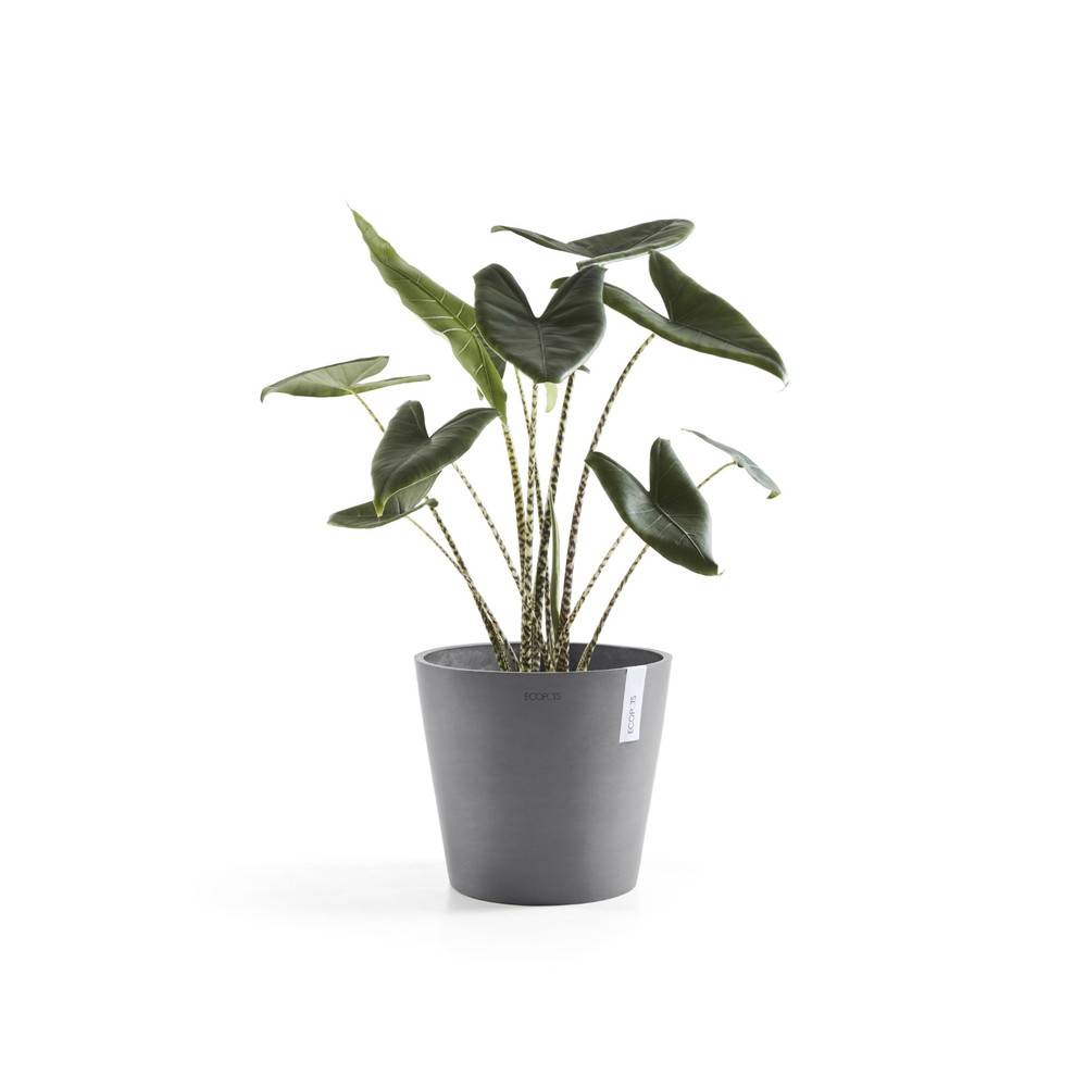 Ecopots - Pot Rond Amsterdam 30 Gris + réservoir d'eau - Ø 30 x H. 26,3 cm - 12,8 L ECOPOTS - Imagen 1