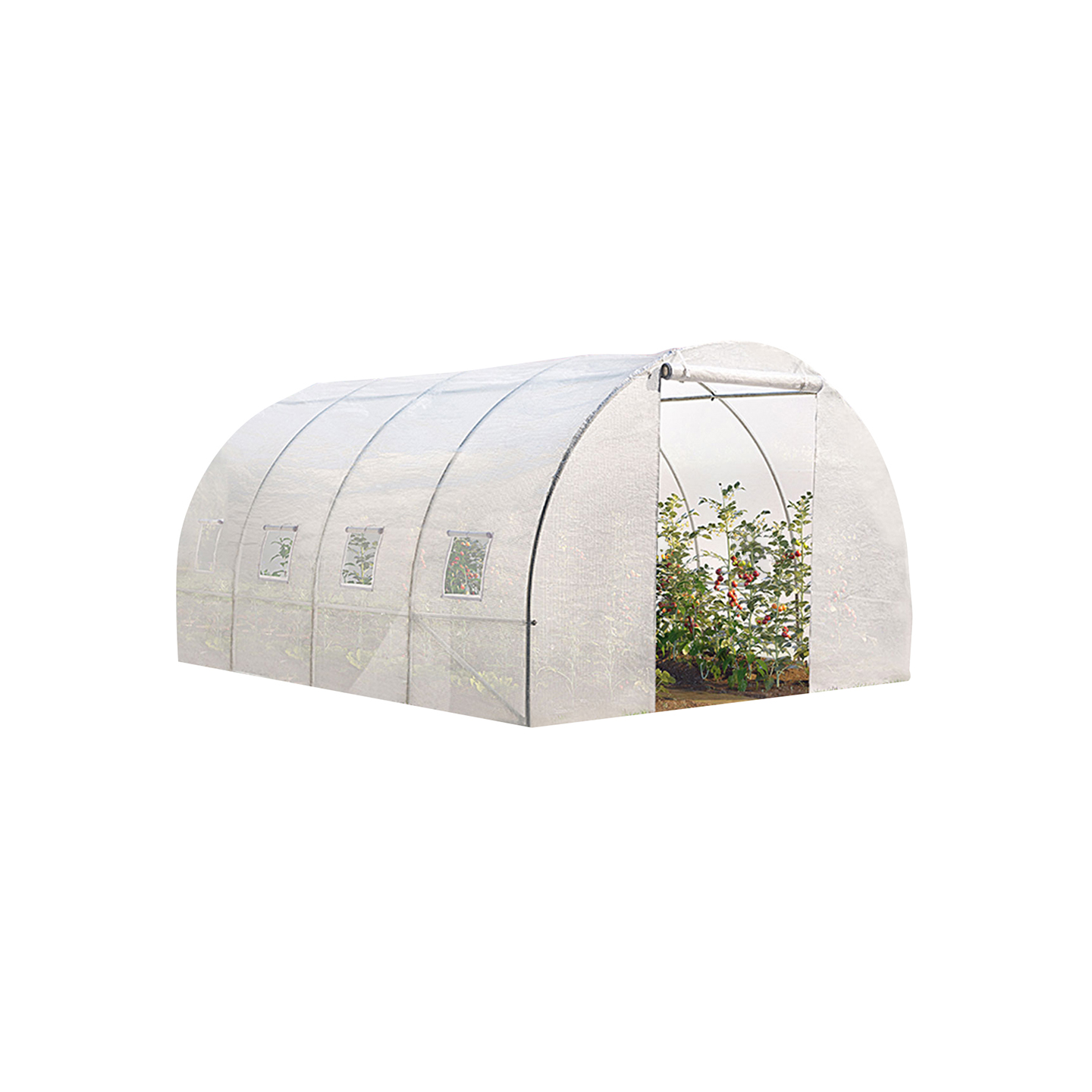 Serre tunnel de jardin 12M² blanche gamme maraîchère ZEBRA 4x3M - Image 2