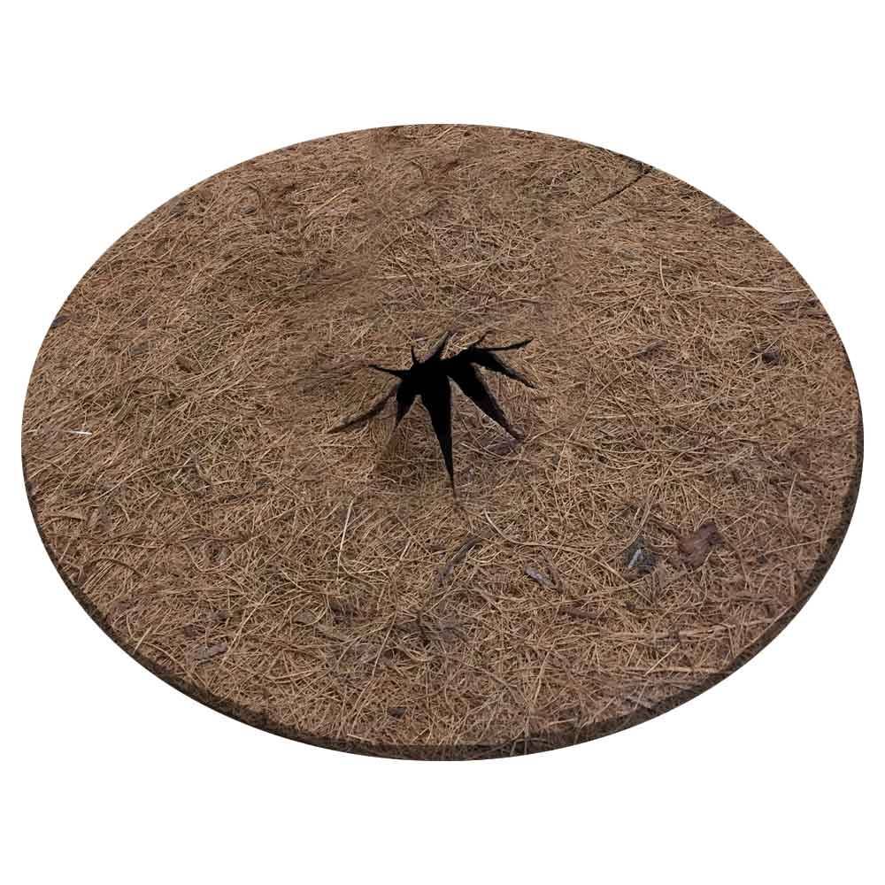 Lot de 2 disques de paillage coco fibres naturelles 19 cm Marron - Image 3
