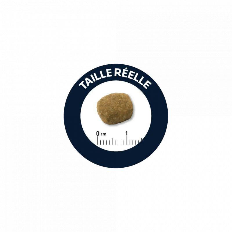CROQUETTES CHIEN LIGHT MEDIUM - ADVANCE 12 kg - Image 2