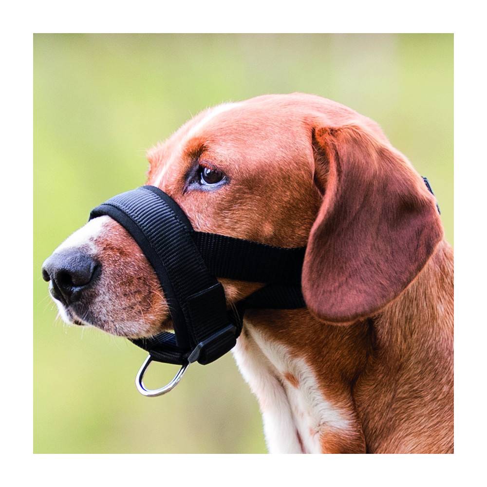 Muselière sangle taille M-L pour chien Beagle, Dalmatien - Image 2