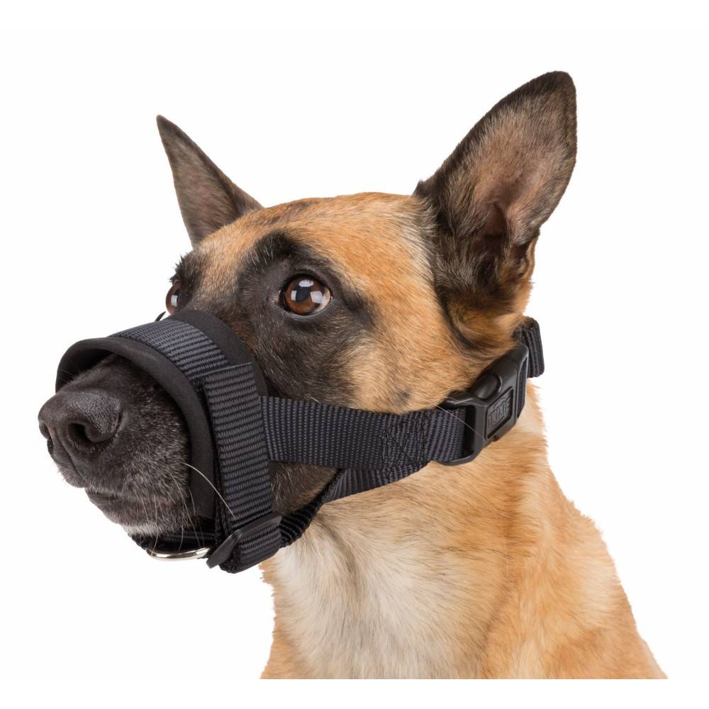Muselière sangle taille M-L pour chien Beagle, Dalmatien - Image 3