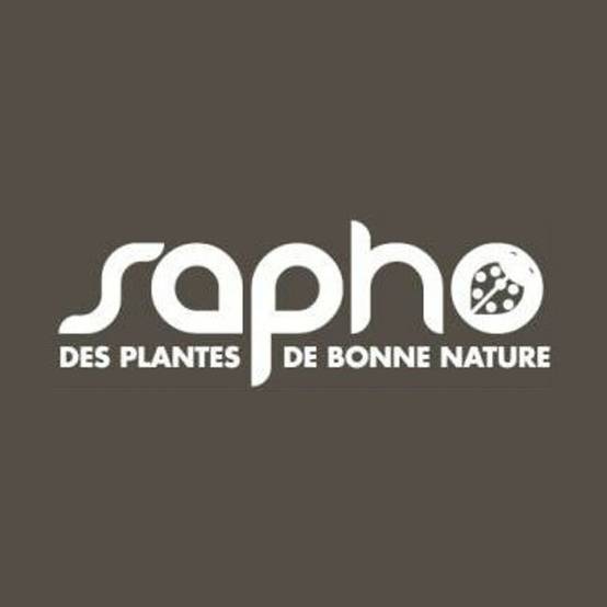 Buisson ardent Saphyr® Orange 'Cadange', Pyracantha à fleurs Blanche - feuillage Persistant - Pot de 3L - 40/60 cm- hauteur à maturité De 1,50 m à 2, - Image 3