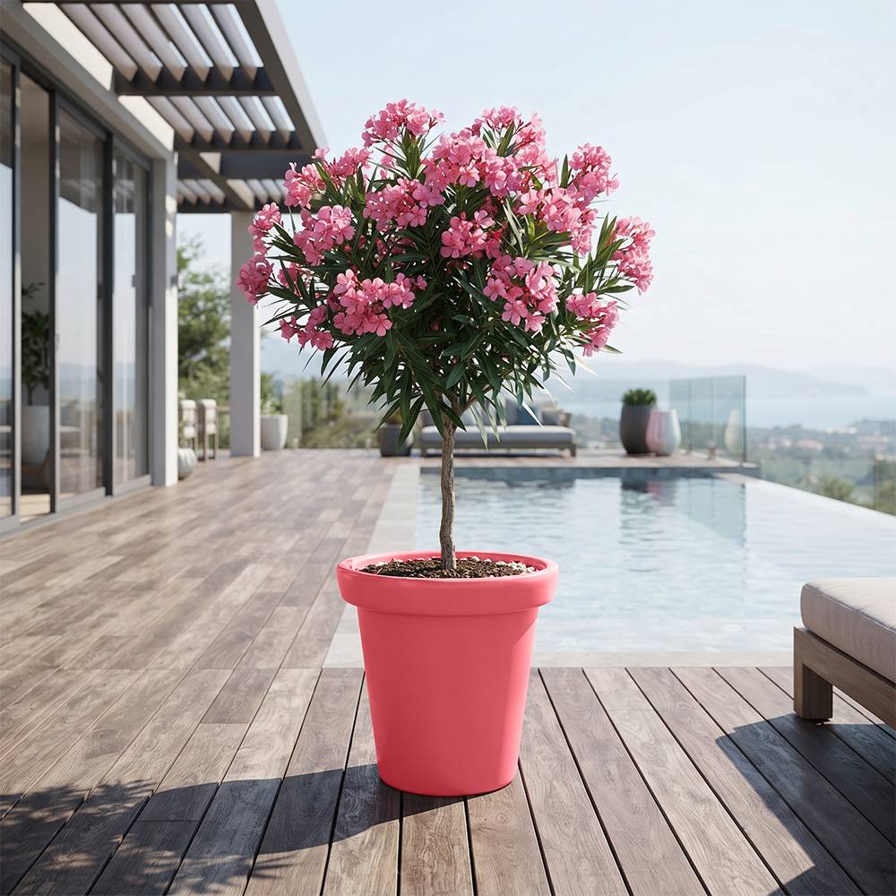 Pot de fleurs 75l delight - plast'up rotomoulage - Imagen 4