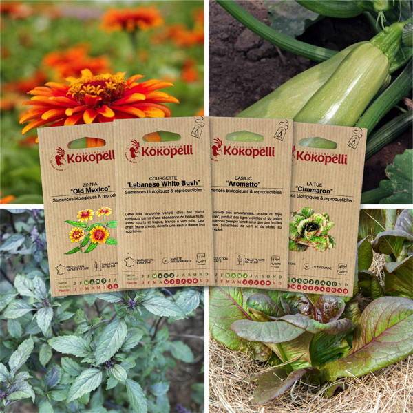 Mes semis de mai - 4 sachets de graines bio à semer- Association Kokopelli - Imagen 1