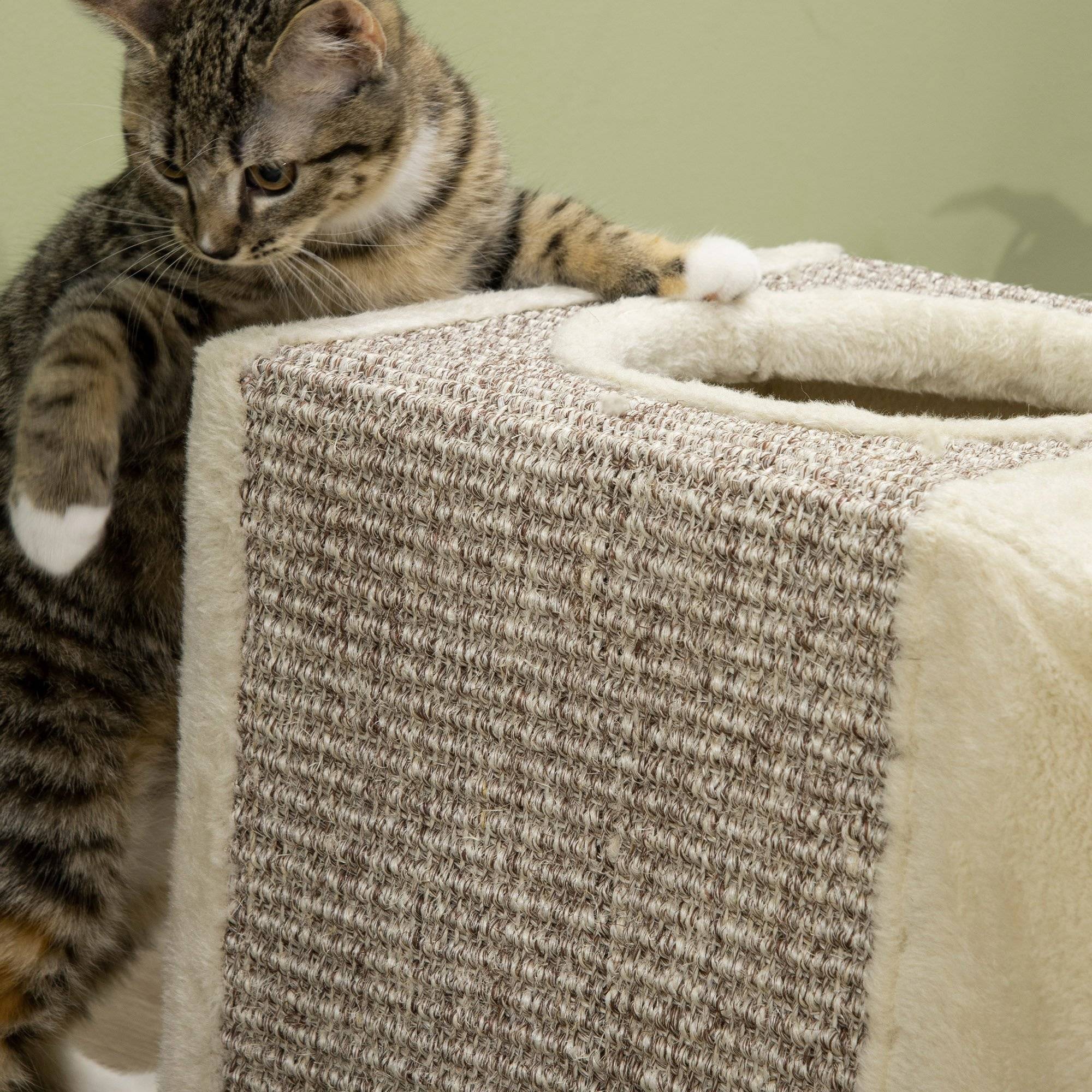 Sans Marque - Tunnel pour chat, 2 niches, griffoirs et balles, 98 cm x 30 cm x 30 cm, marron et beige - Image 10