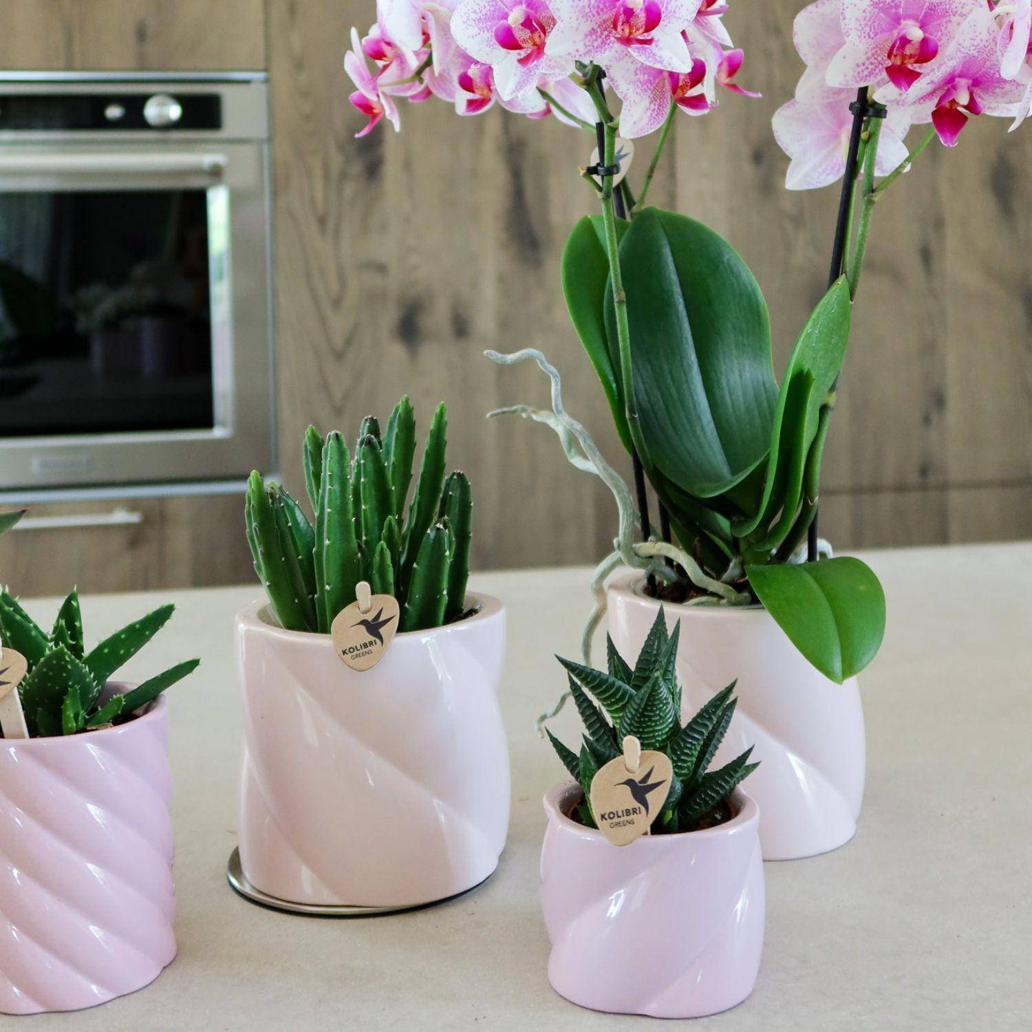 Pot en céramique Candy rose- La Green Touch - Image 10