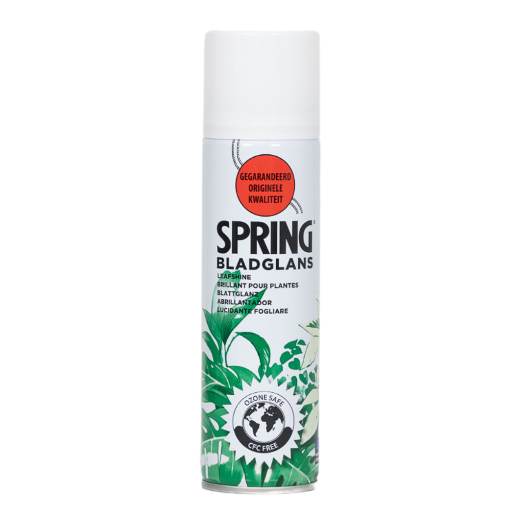 PANGIVO - Lustrant feuillage plastique transparent 250 ml - PANGIVO