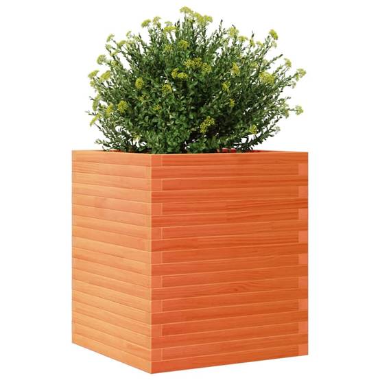 Jardinière Bois de Pin Massif Cire Marron 60 x 60 x 68.5 cm - PANGIVO - Image 4