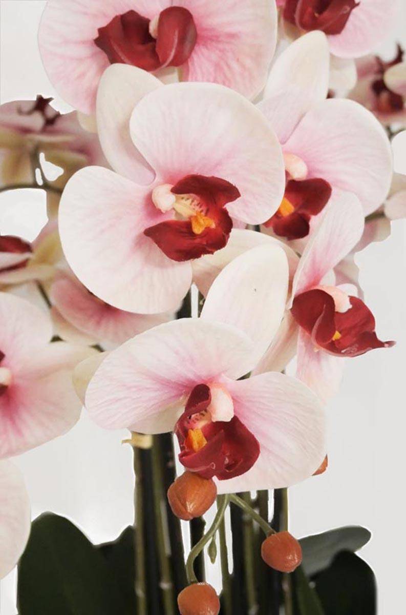 Artificielles - Orchidée Phalaenopsis factice Top Qualité & pot H140cm Rose-pâle-BEST - dimhaut: H 140 cm - couleur: Rose-crème - Imagen 4